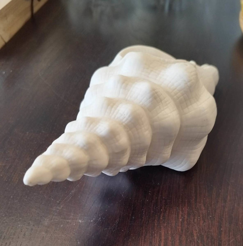 Muszla Porcelanowa biała 25x10 H7,5cm