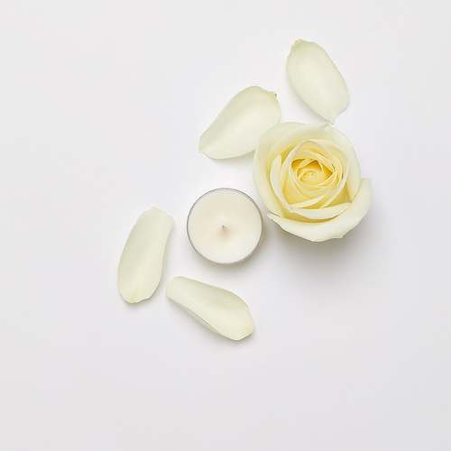 Partylite Tealight zapachowy White Rose Biała Róża kolor biały 