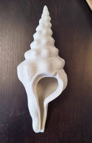 Muszla Porcelanowa biała 25x10 H7,5cm