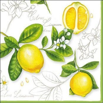 Ambiente serwetki papierowe lunchowe 33x33cm Citrus Limonum