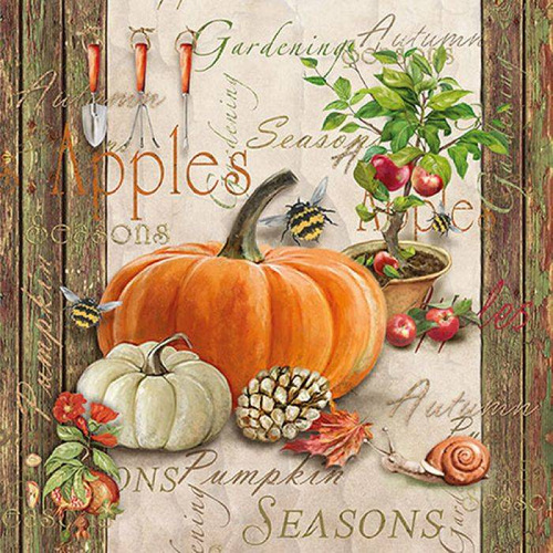 Serwetki papierowe jesienne Ambiente Autumn Gardening lunchowe 33x33cm op.20szt