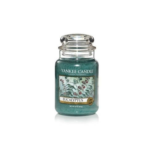 Yankee Candle, świeca zapachowa, Eucalyptus,słoik duży, 623g.